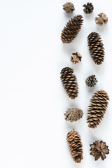 Collection of various cones on a white background. Minimalistic natural background for the winter holidays: Christmas or New Year. Top view, copy space.