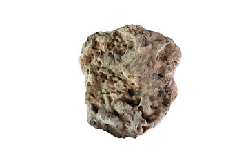 Sponge Boulder rock isolated on white background. perlite rock.