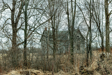Abandoned North Frontenac homestead landscape