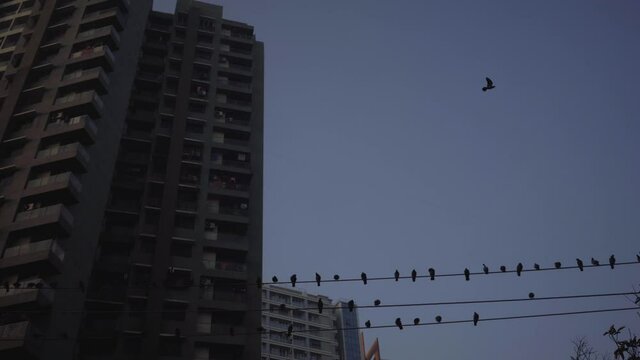 residential building thane Maharashtra India Mumbai car POV bird flying