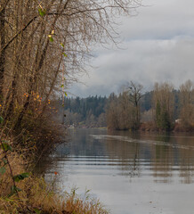 Beautiful landscape of the river in autumn cloudy day. British Columbia. Selective focus, travel photo.