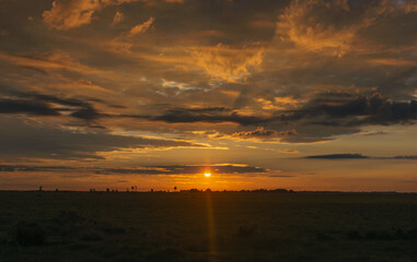 amanecer llanero