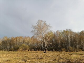 
autumn in the village