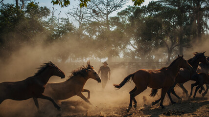 hombre llanero en medio del polvo ocasionado por caballos.