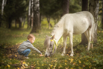 Obraz na płótnie Canvas Little blond boy feeding little horse pony carrot