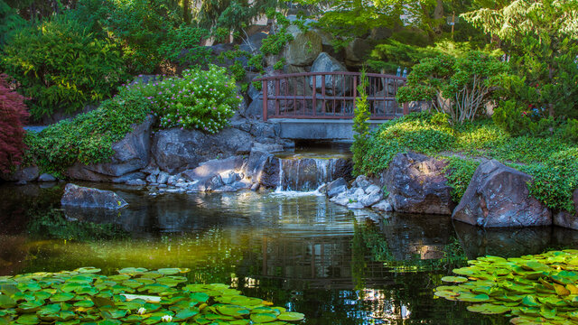 Japanese garden with bridge above a waterfall and pond that is home to Koi