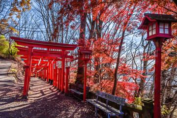 秋の神社