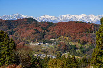 山の紅葉
