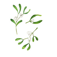 Set of mistletoe branches with white berries and green leaves. Hand drawn watercolor illustration. - 395678736