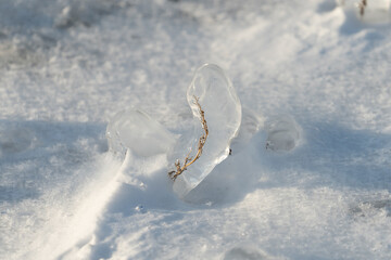 Natural background with ice crystals on plants after an icy rain.