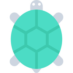 Obraz premium Tortoise Flat Vector Icon 