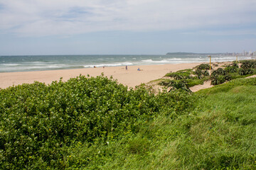 Vegetation Growing on the Dunes of a Sparsely Populated Beach