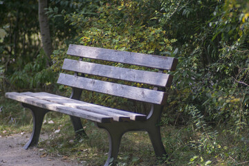 Park bench to have a rest in a park