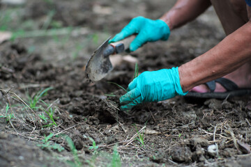 Motion blurred hands of gardener use a planting spoon to remove the weed from soil at the backyard