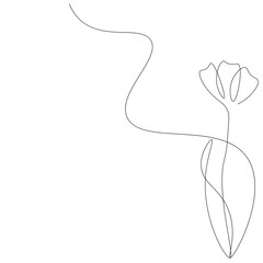 Flower drawing on white background, vector illustration