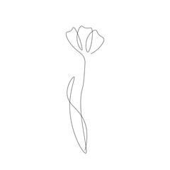 Flower drawing on white background, vector illustration