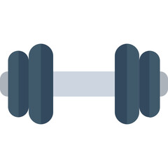 
Dumbbell Flat Vector Icon

