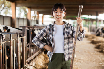 Portrait of active chinese female employee working in cowshed on farm. High quality photo