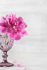 Image with peony.