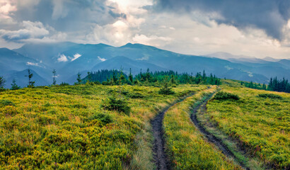 Fresh green view mountain valley in Carpathian mountains with old country road. Dramatic summer scene of Transcarpathian region, Ukraine, Europe. Traveling concept background.