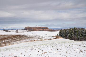 初雪の美瑛パッチワークの丘