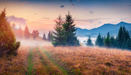 Naklejka na ściany i meble Dawn in Carpathian mountains. Foggy autumn scene of mountain valley with old country road. Picturesque morning scene of Ukrainian countryside. Landscape photography..