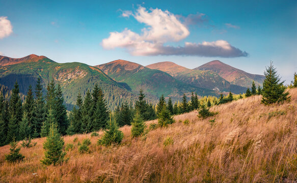 Landscape photography. Picturesque morning scene of Carpethian mountains with Hoverla peak on background. Beautiful autumn scene of mountain valley. Beautiful autumn scenery..