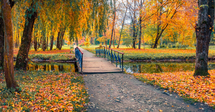 Landscape photography. Calp autumn scene of citypark. Wooden bridge over small river. Colorful morning view of town square. Beauty of nature concept background.