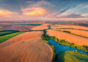 View from flying drone of river in the shape of tree among the field of wheat. Impressive sunrise...