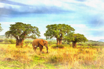African Elephant, Loxodonta africana colorful painting looks like picture, Tanzania, East Africa.
