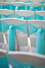 Fototapeta na wymiar Wedding reception chairs in row decorated with ribbon