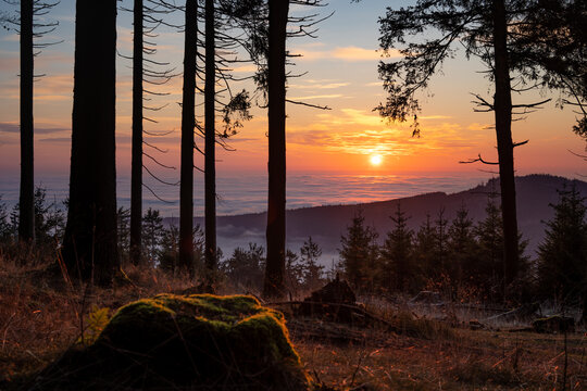 Sonnenaufgang im Taunus hinter dem Altk&ouml;nig