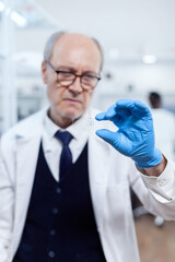 Naklejka na ściany i meble Concentrated senior scientist looking at glass slide with sample wearing protection gloves. Elderly researcher in sterile lab looking on microscope slide wearing lab coat.