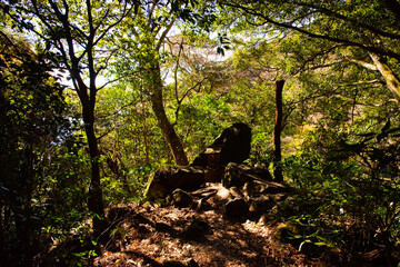 Fototapeta premium 山の景色
