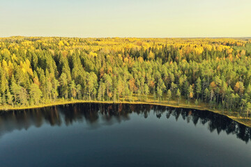 landscape top view, river autumn forest drone, beautiful journey