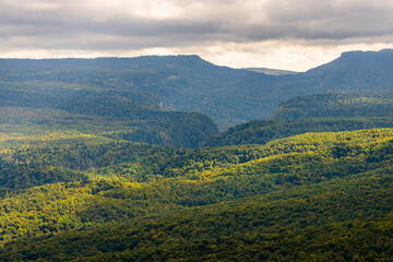 Fototapeta premium Mountain landscape. Gorge and mountains covered by forest