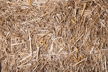 Hay or straw texture background