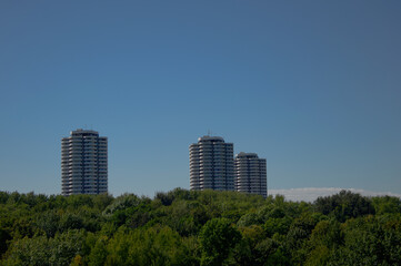 Urban skyscrapers above the treetops.