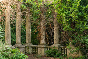 Ivy growing on stone pillars or columns in mountain recreational forest or park
