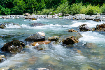 Fototapeta na wymiar Mountain river flowing at summer forest landscape