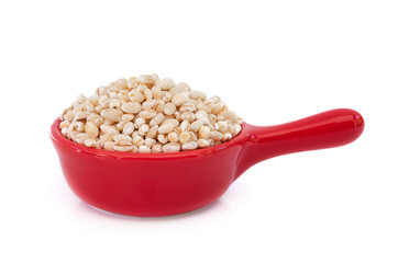 pearls barley grain seed on background with clipping path.