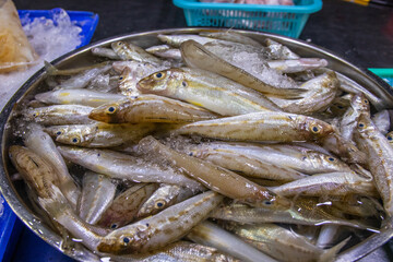 fresh catching fish seafood from Thailand Asia