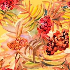 Pattern with watercolor rowan berries.