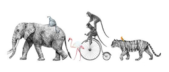 Beautiful stock composition pencil illustration of safari elephant tiger monkey animals. © zenina