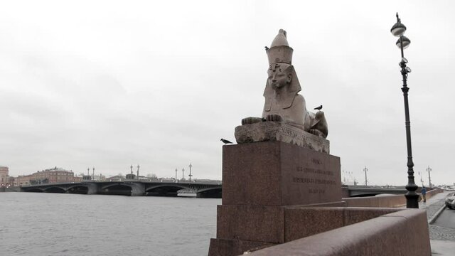 Sphinxes on the University embankment in cloudy weather