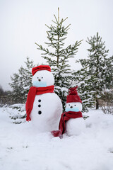 Snowmen wearing a face mask, winter hat. scarf on a white background and standing by a tree.
