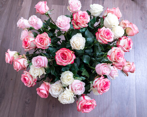 Macro. Rose close-up. Pink and white flowers