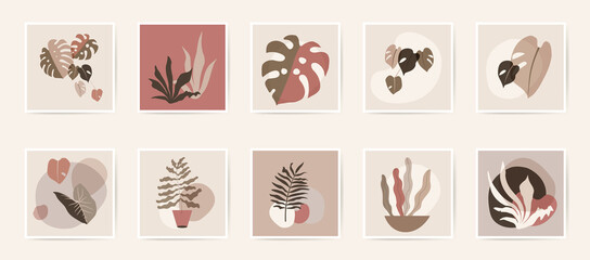 Abstract natural botanical wall art posters. Fluid organic foliage shapes in neutral colors. Minimal floral prints. Mid Century Modern design wall art. Retro plant vector EPS10 tropical illustration