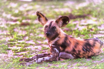 Spotted hyena, Crocuta crocuta, in African savannah East Africa Tanzania