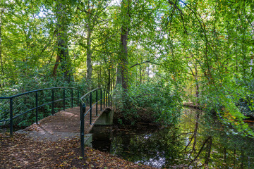 A beautiful bridge over a ditch in the park De Horsten in Wassenaar in autumn colors
